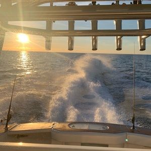 Meet your Posher, Joaquin